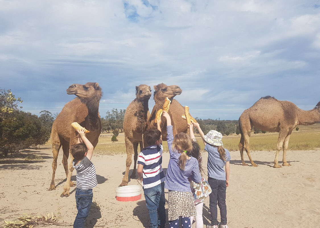 camel-kids.jpg